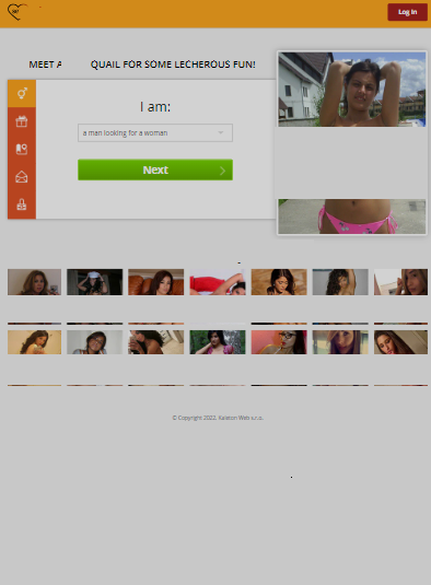 ТОP 5 Geo on Dating Smartlink: Austria, Norway, Chile